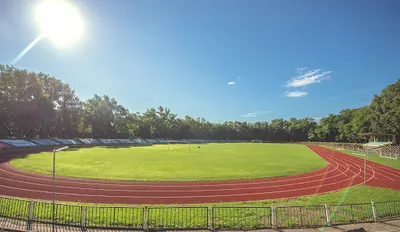 Stadion Pszczelnik